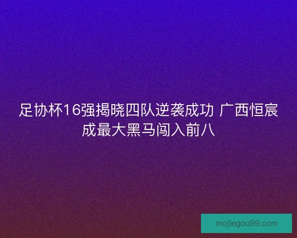 足协杯16强揭晓四队逆袭成功 广西恒宸成最大黑马闯入前八