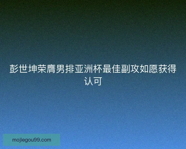 彭世坤荣膺男排亚洲杯最佳副攻如愿获得认可