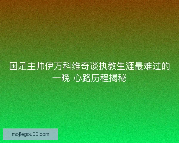国足主帅伊万科维奇谈执教生涯最难过的一晚 心路历程揭秘