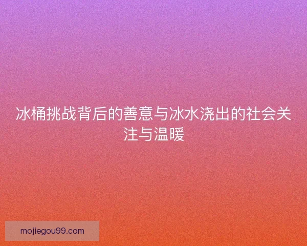 冰桶挑战背后的善意与冰水浇出的社会关注与温暖
