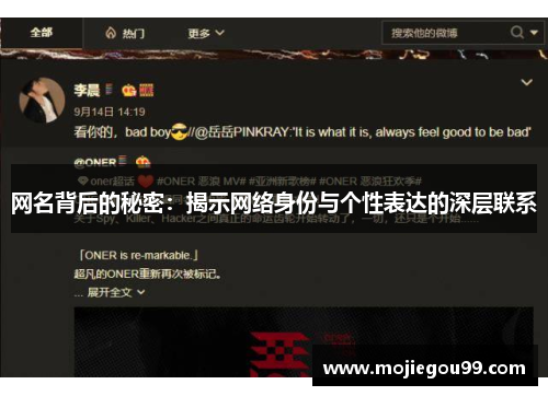 网名背后的秘密：揭示网络身份与个性表达的深层联系